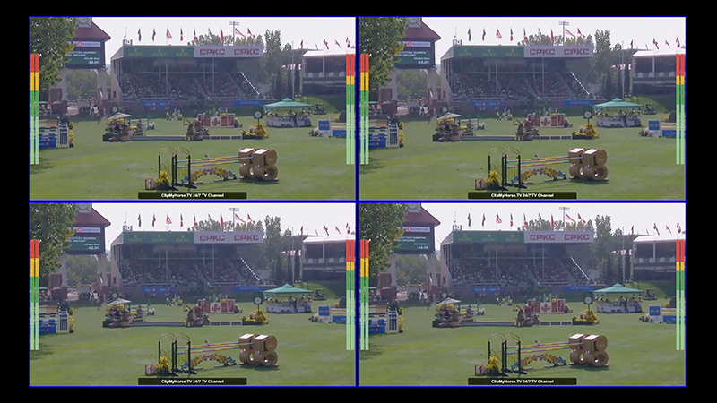 Multi-Viewer Preview